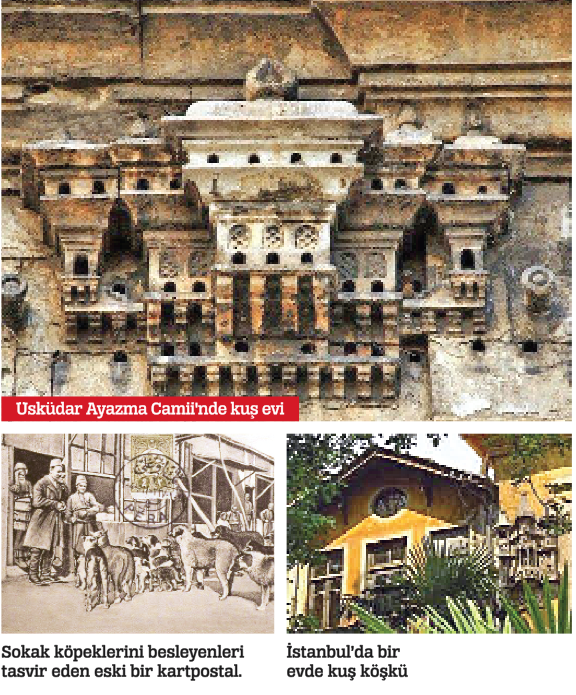 Eskiler sokak hayvanlarını bile düşünürdü